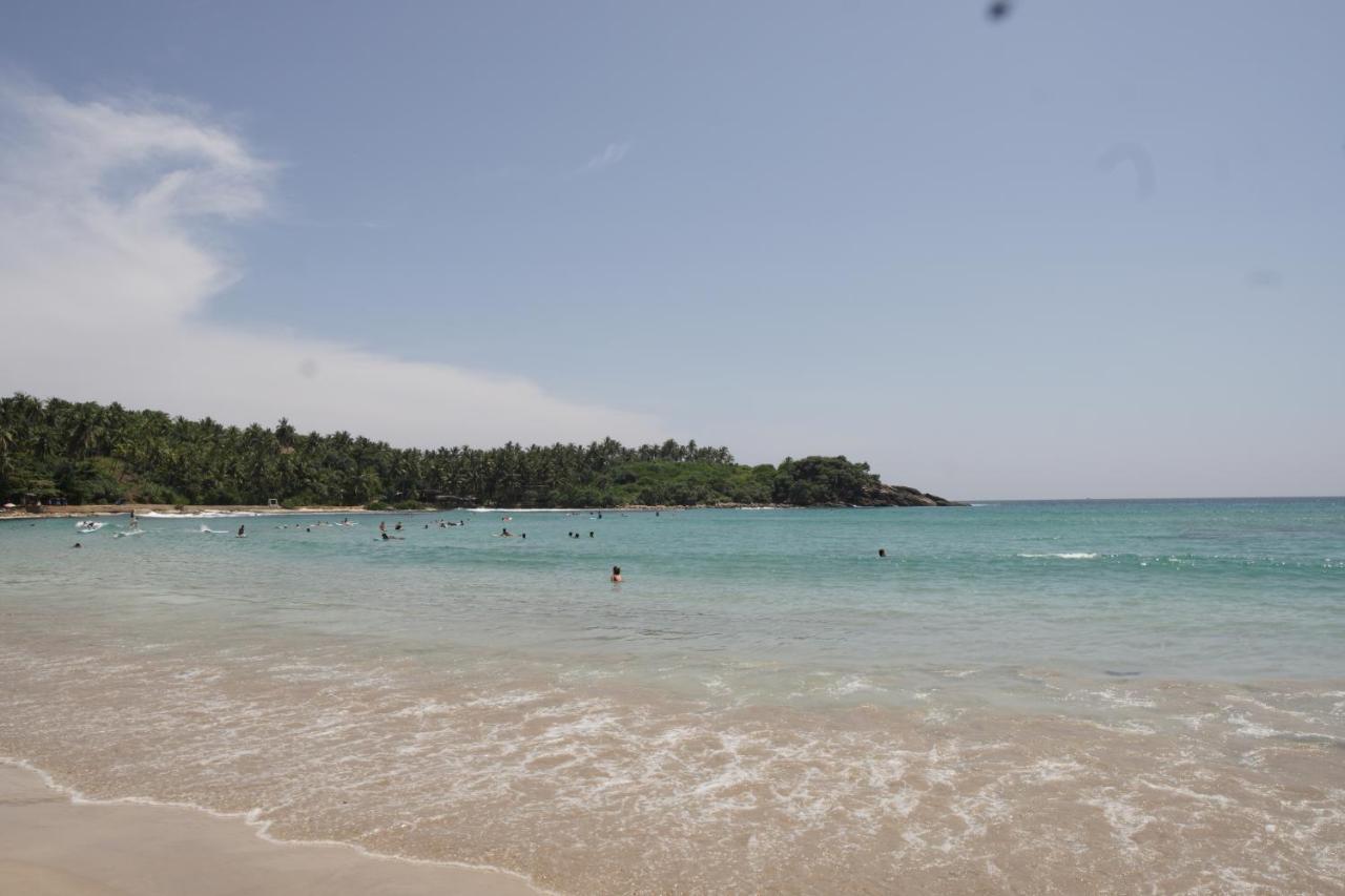 Surf Nest Hiriketiya Hotel Dikwella Exterior foto